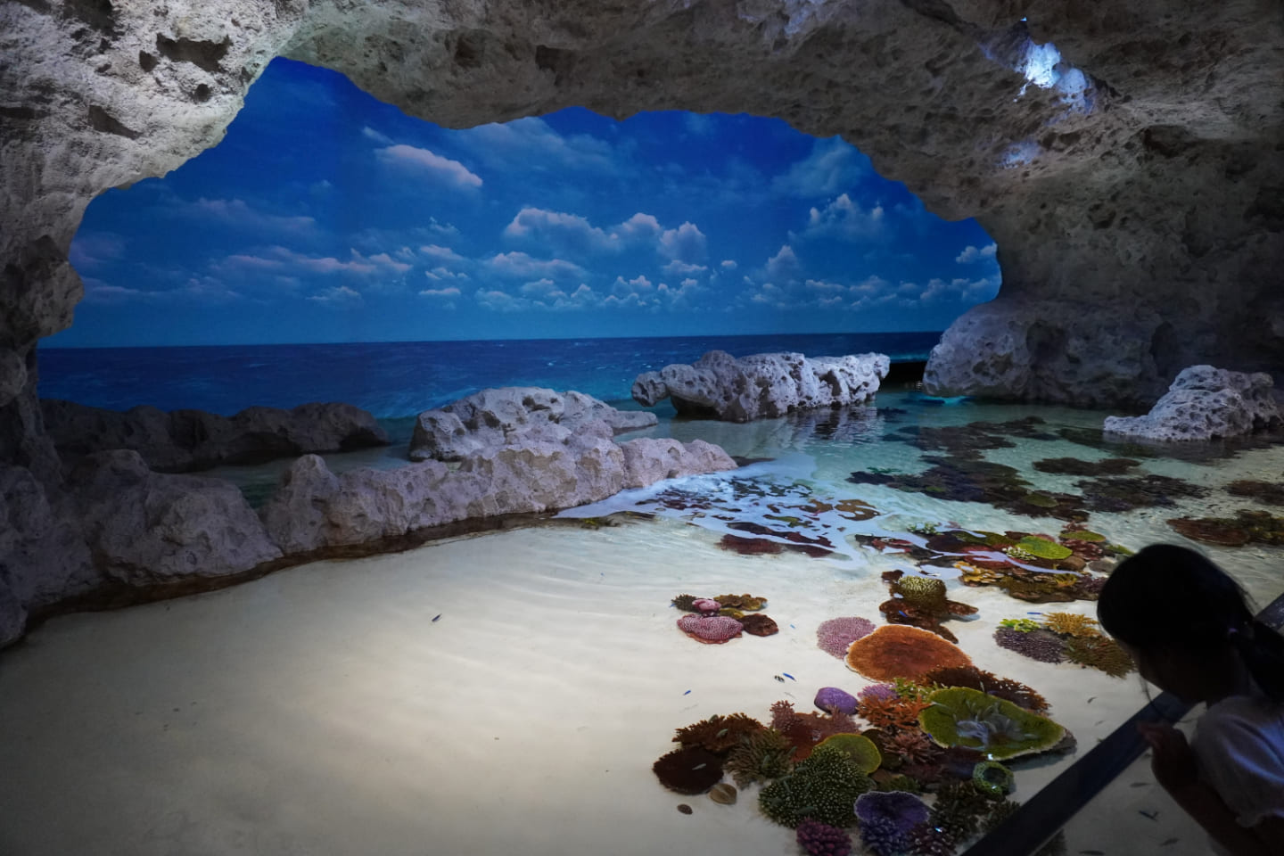 かりゆし水族館の中の海沿いの洞窟の自然を再現しているエリア。洞穴のようなところに外からの光が差し込んでいるように見える